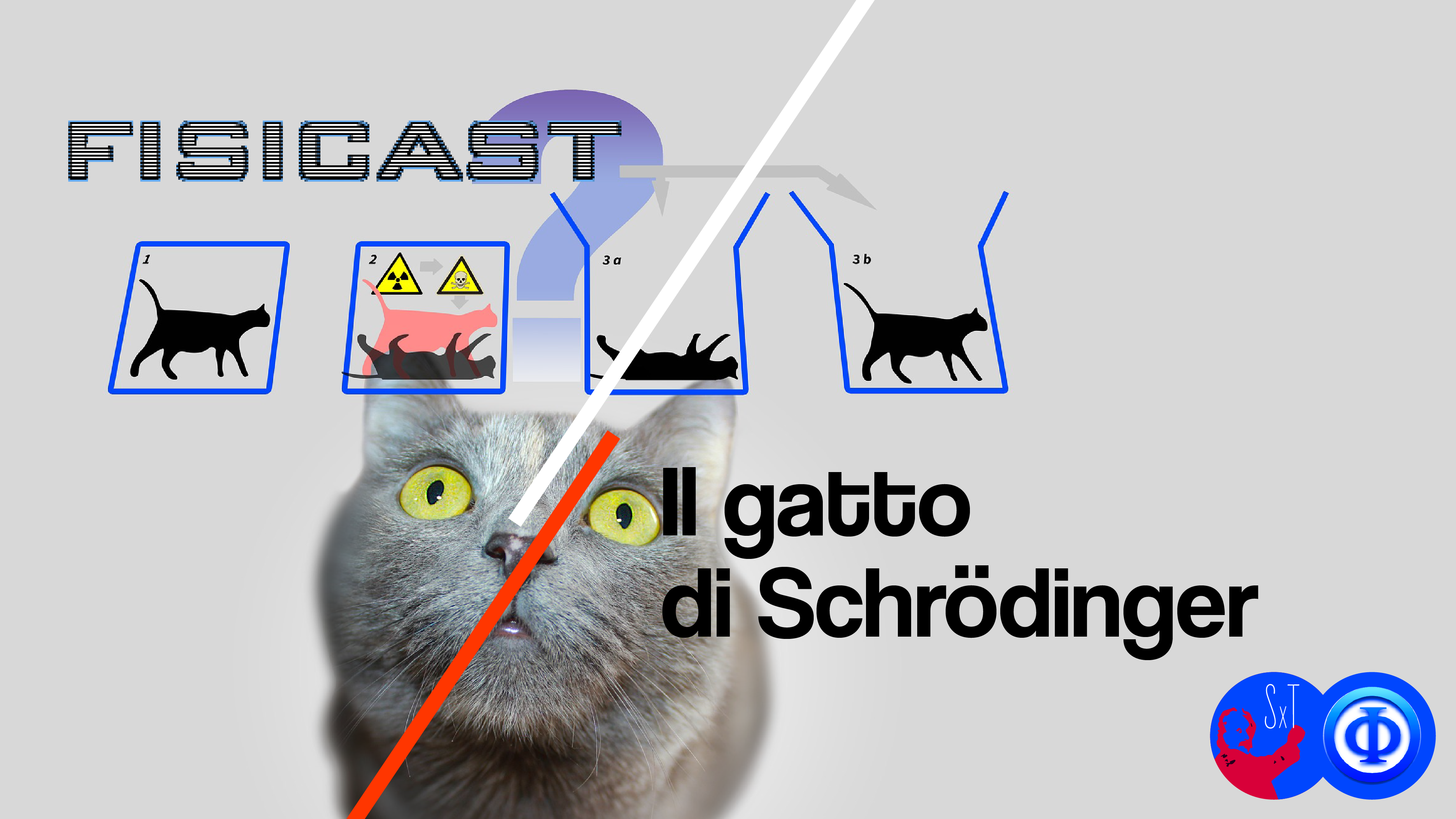 cover della puntata sul gatto di Schroedinger