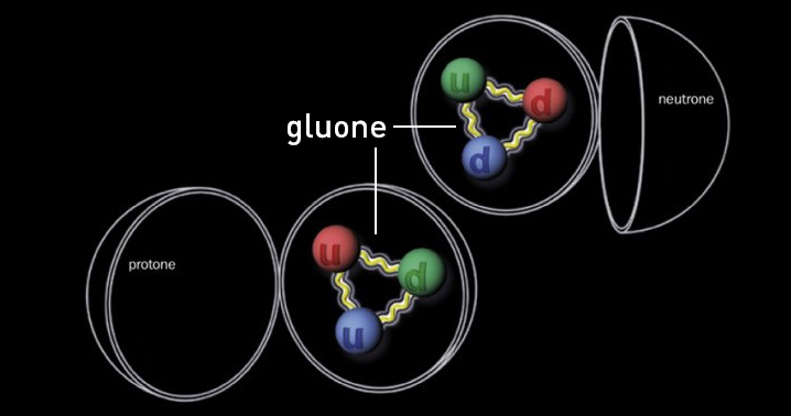 gluone