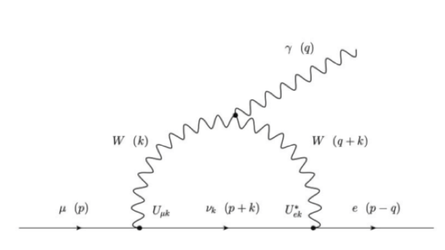 diagramma di feynman sul neutrino