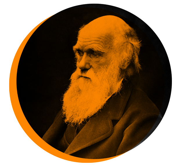 Charles Darwin 01