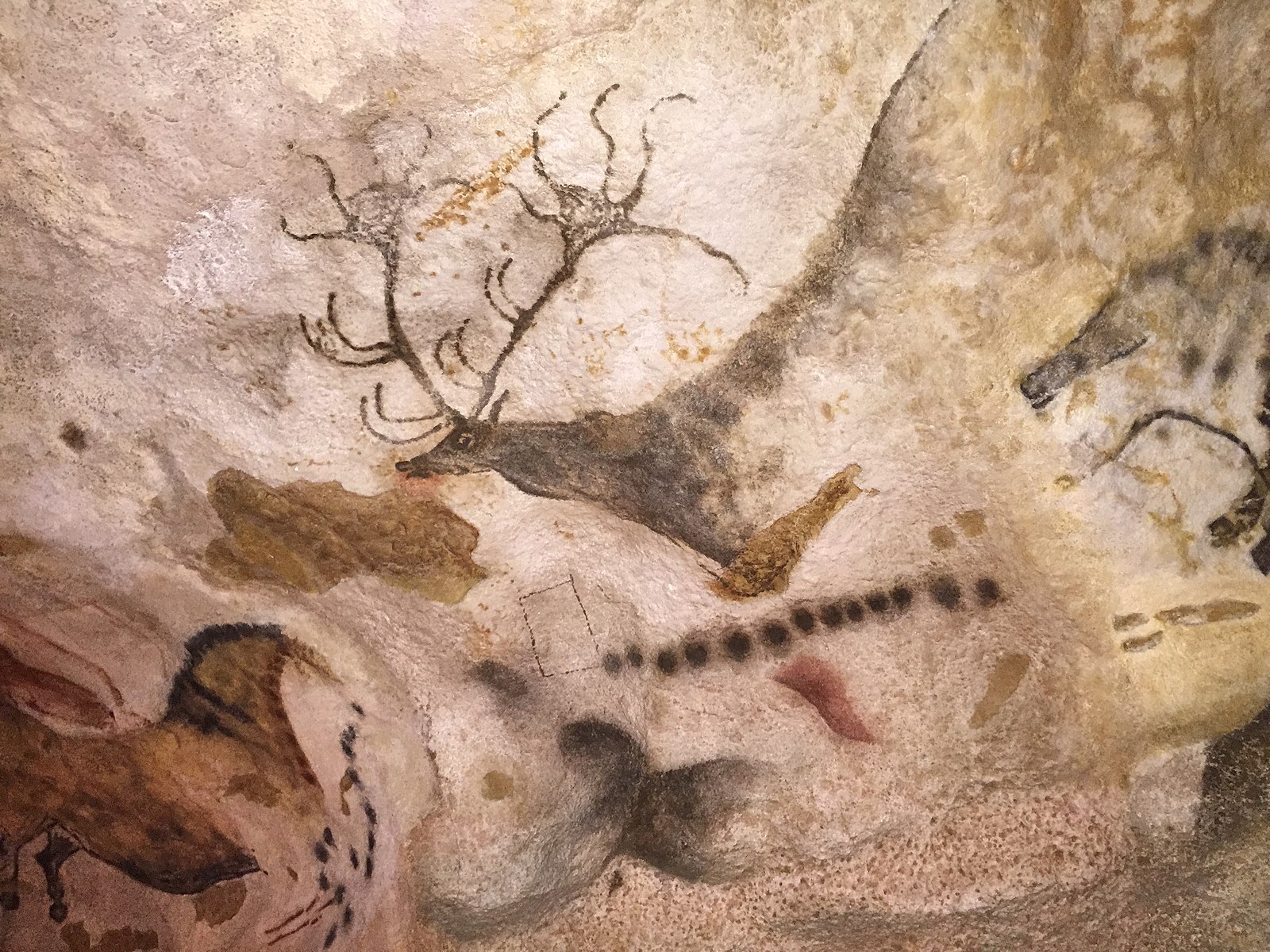 Grotte di Lascaux, Codex, attribution: CC BY-SA 4.0 <https://creativecommons.org/licenses/by-sa/4.0>, via Wikimedia Commons