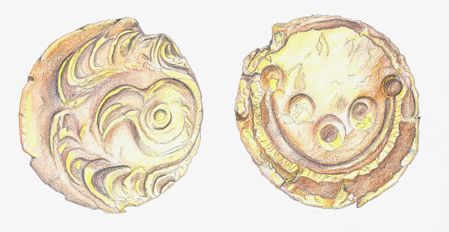  statere d’oro del tipo detto Regenbogenschüsselchen, disegno di Anna Maragno
